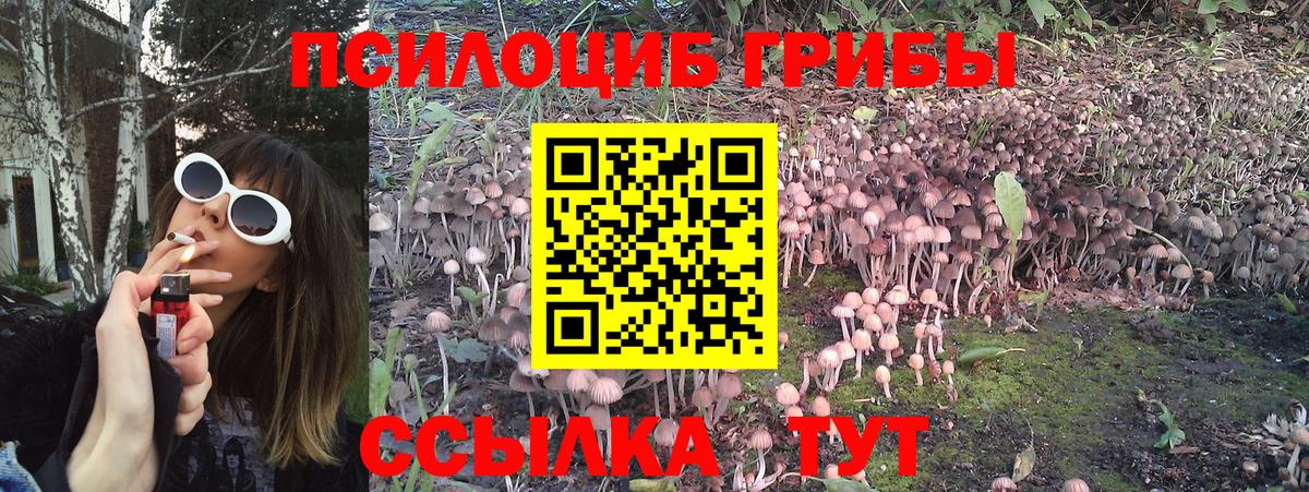 Галлюциногенные грибы Psilocybe  Псилоцибиновые грибы MAGIC MUSHROOMS  наркота  Вход с VPN  Ярославль 